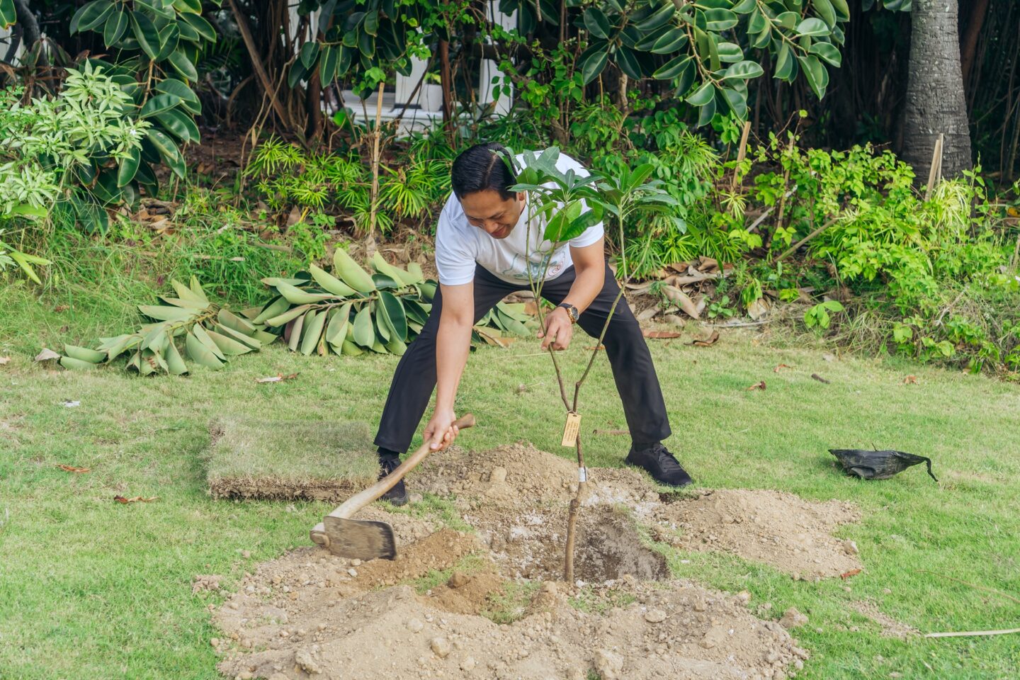 Tree Planting at InterContinental Bali Resort